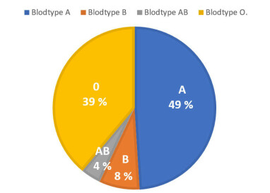 FLEST HAR BLODTYPE A: Omlag halvparten av den norske befolkning har blodtype A. Illustrasjon: Lommelegen. FLEST HAR BLODTYPE A: Omlag halvparten av den norske befolkning har blodtype A. Illustrasjon: Lommelegen.